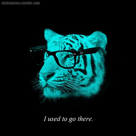 Pix For > Hipster Tiger