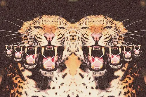 Pix For > Hipster Tiger Backgrounds