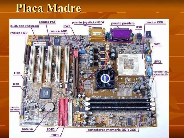 La Placa Madre