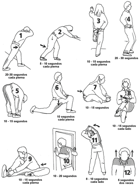 Plan de entrenamiento gradual entrenamiento estiramientos ...