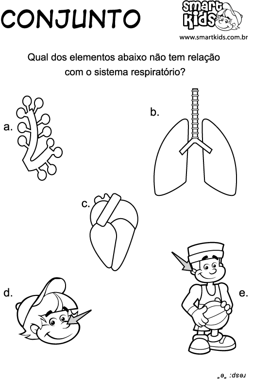 Blog Professor Zezinho : Atividades sobre sistema respiratório ...