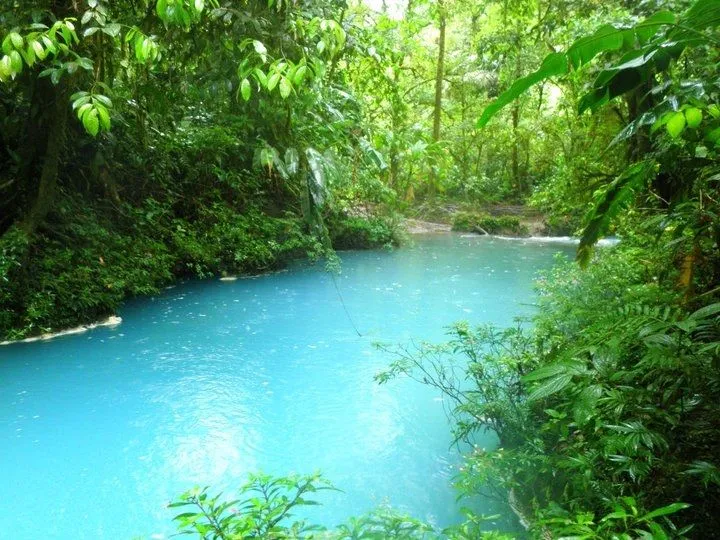 Planeta mágico. El río Celeste de Costa Rica. | Tejiendo el mundo
