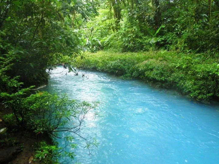 Planeta mágico. El río Celeste de Costa Rica. | Tejiendo el mundo