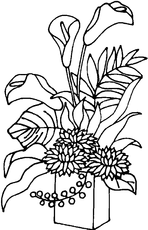  ... de plantas para colorear. Dibujos de plantas infantiles para pintar