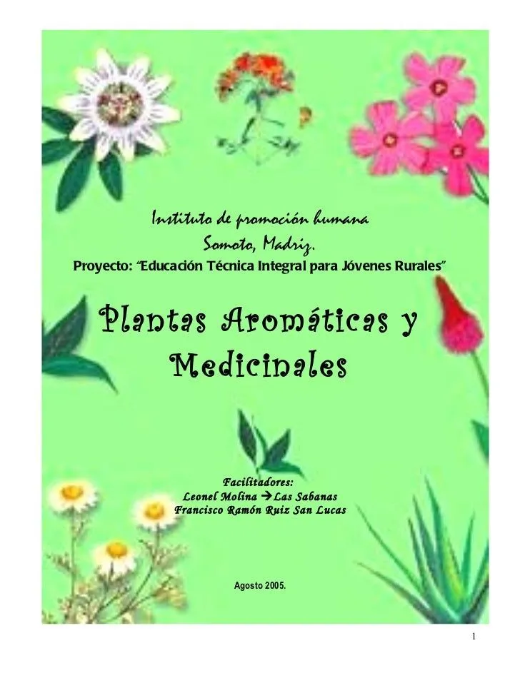 Plantas medicinales