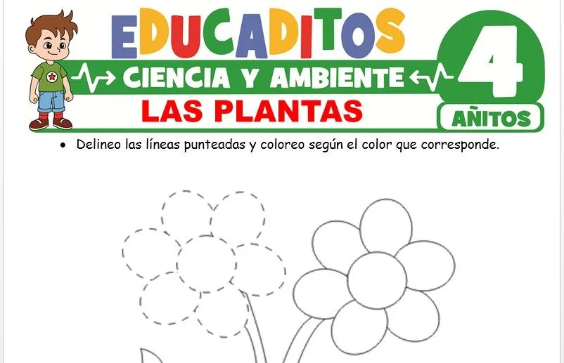 Las Plantas para Niños de 4 Años » Educaditos.com