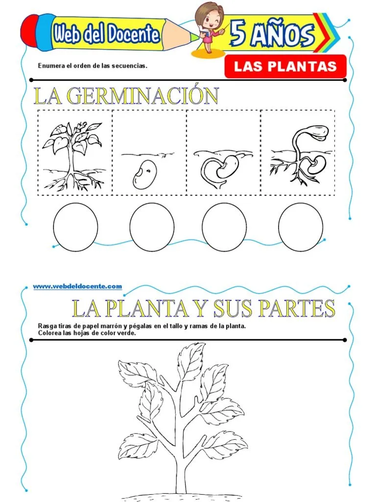 Las Plantas para Niños de 5 Años | PDF