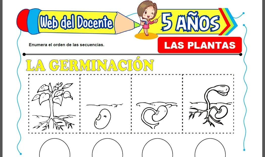 Las Plantas para Niños de 5 Años – Web del Docente