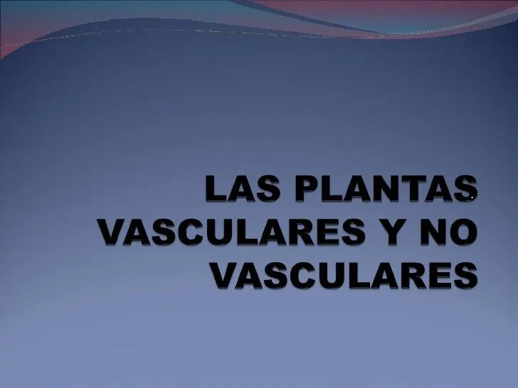 Plantas vasculares y no vasculares