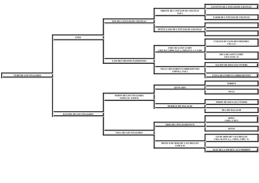 Plantilla arbol genealogico gratis español - Imagui