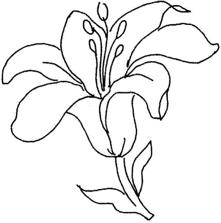 Plantillas Para Hacer Cuadros | Aprender Manualidades Es Facilisimo. - AZ  Dibujos para… | Dibujos de flores, Dibujos flores para colorear, Flores  fáciles de dibujar