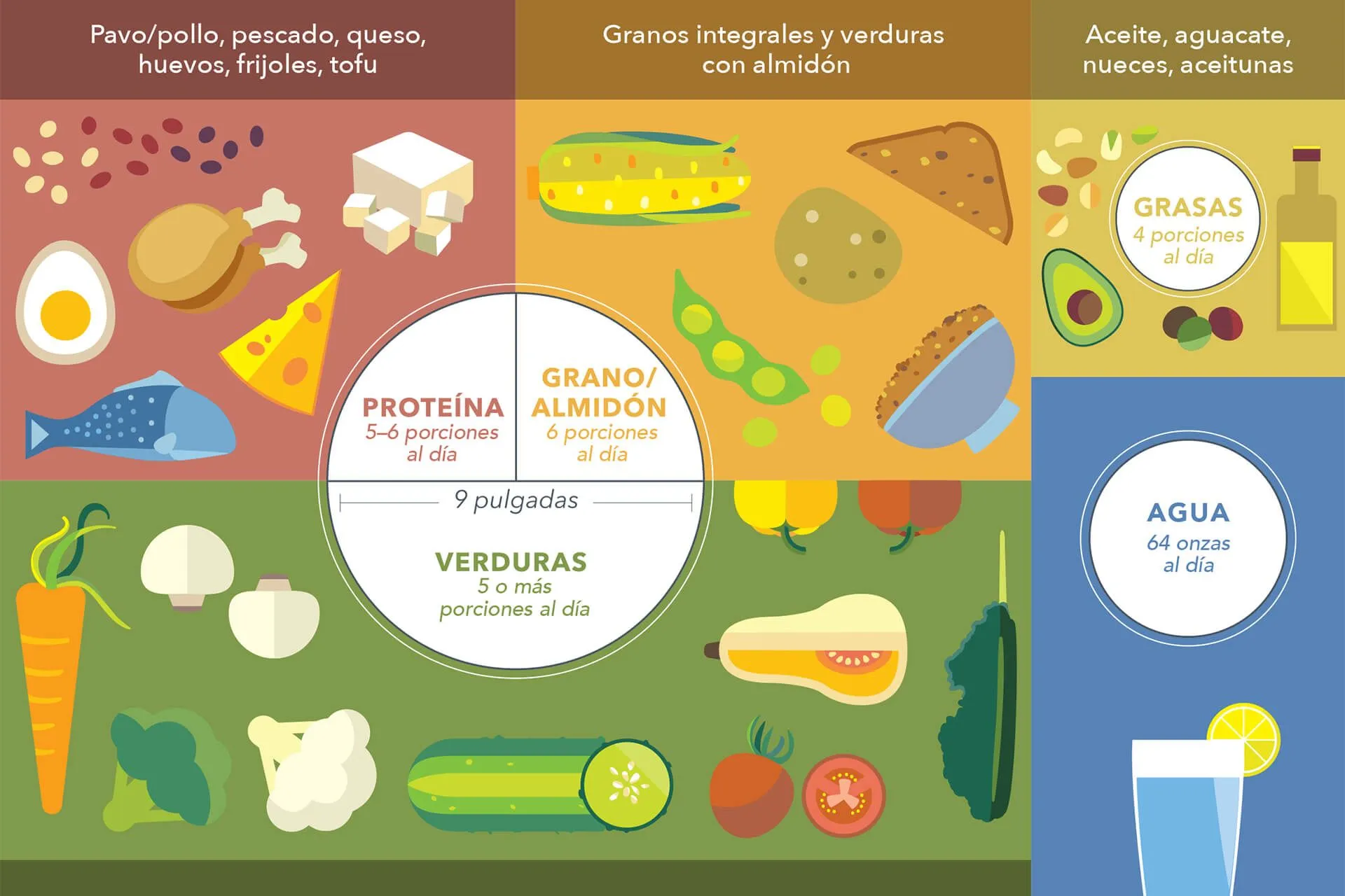 El plato del buen comer Archives - Kaiser Permanente Southern California  Center for Healthy Living en Español