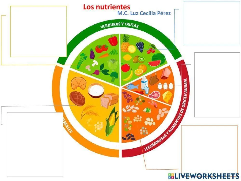 Plato del buen comer online activity for Secundaria | Live Worksheets