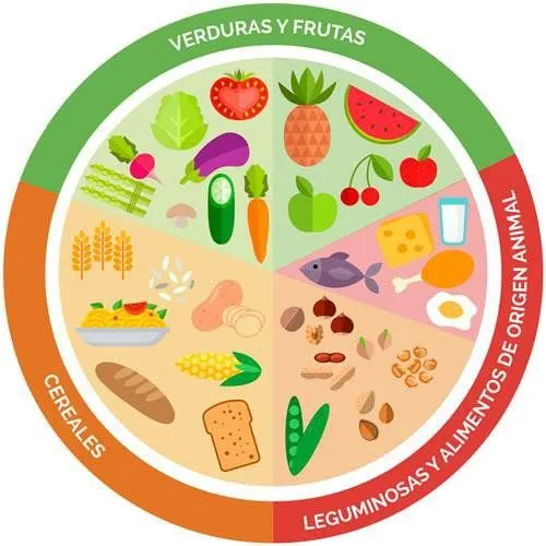 Qué es el plato del buen comer? - Quora