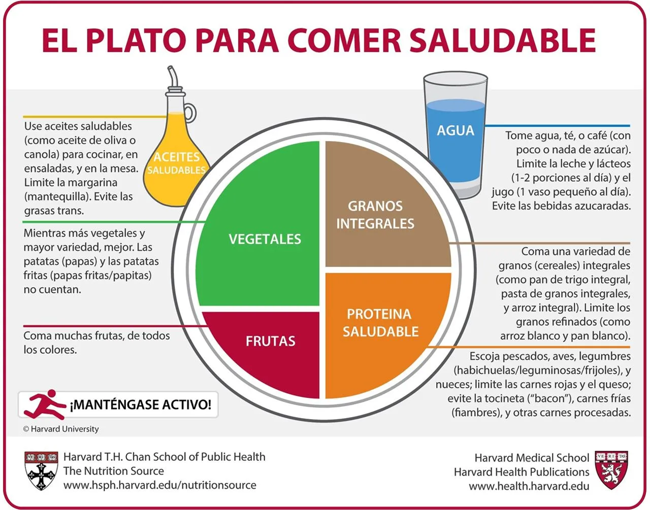 El plato para comer saludable (el plato Harvard), la mejor guía de  alimentación hasta el momento | Gastronomía & Cía