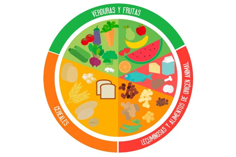 El Plato del Bien Comer | Servicio de Información Agroalimentaria y  Pesquera | Gobierno | gob.mx