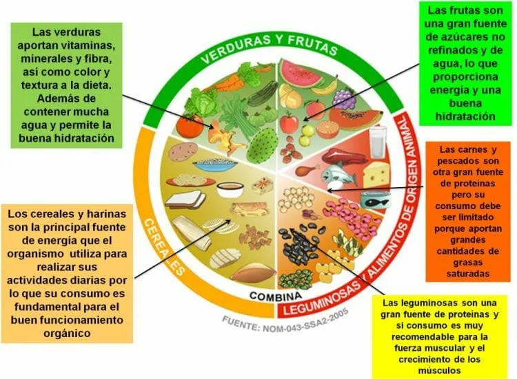 Plato del Buen Comer | La SÚPER Guía de la Alimentación Sana