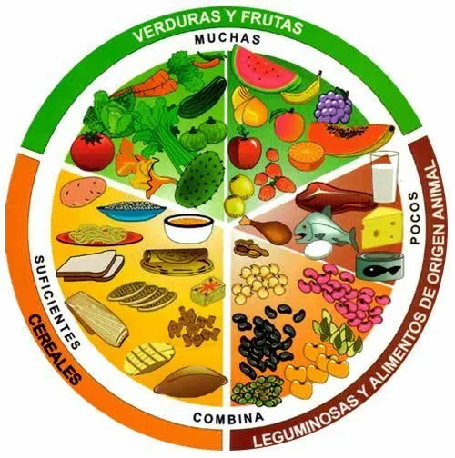 Plato del Buen Comer | La SÚPER Guía de la Alimentación Sana | Plato del buen  comer, Plato del bien comer, Imagenes de alimentos saludables