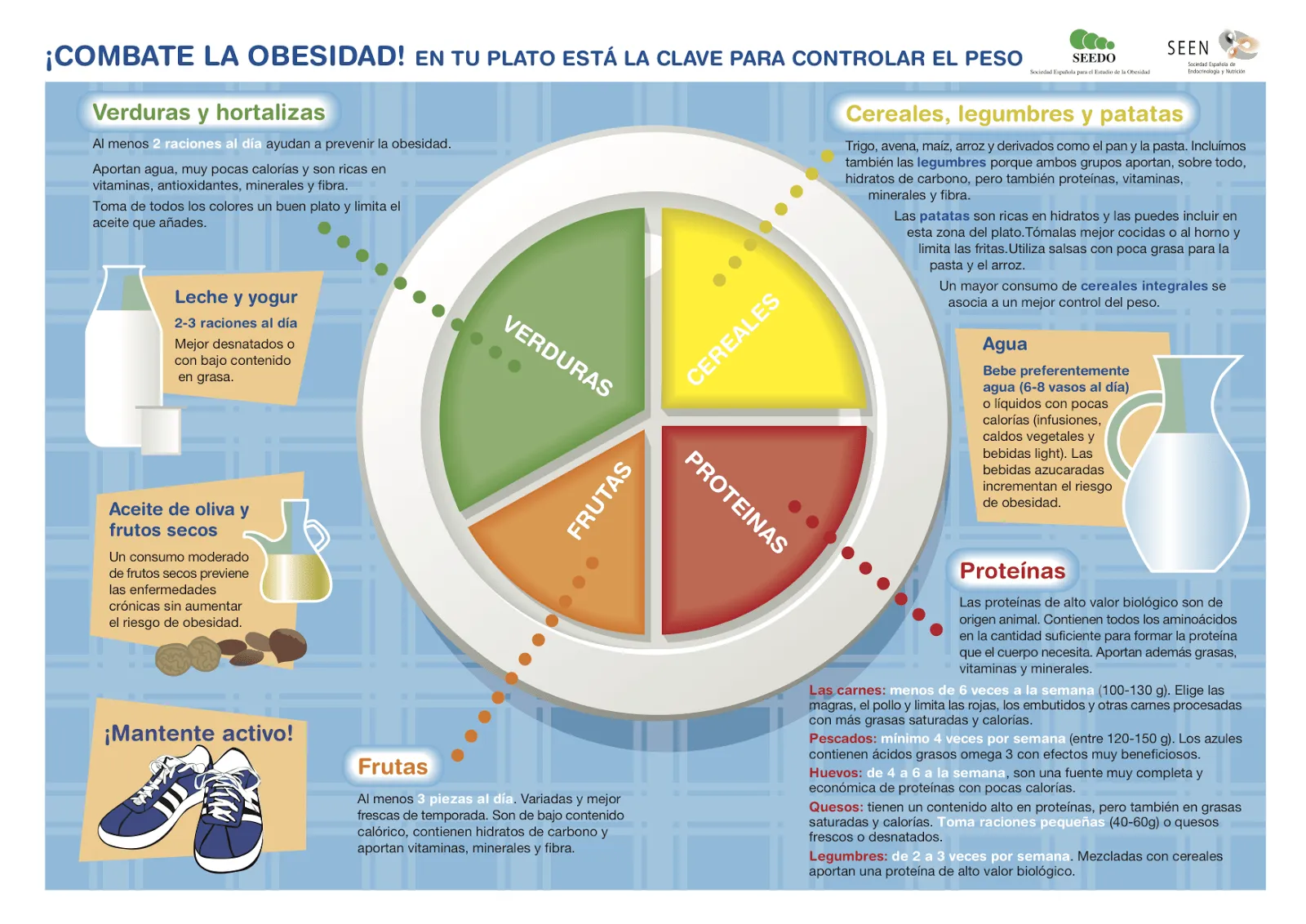 Platos nutricionales - Imagui