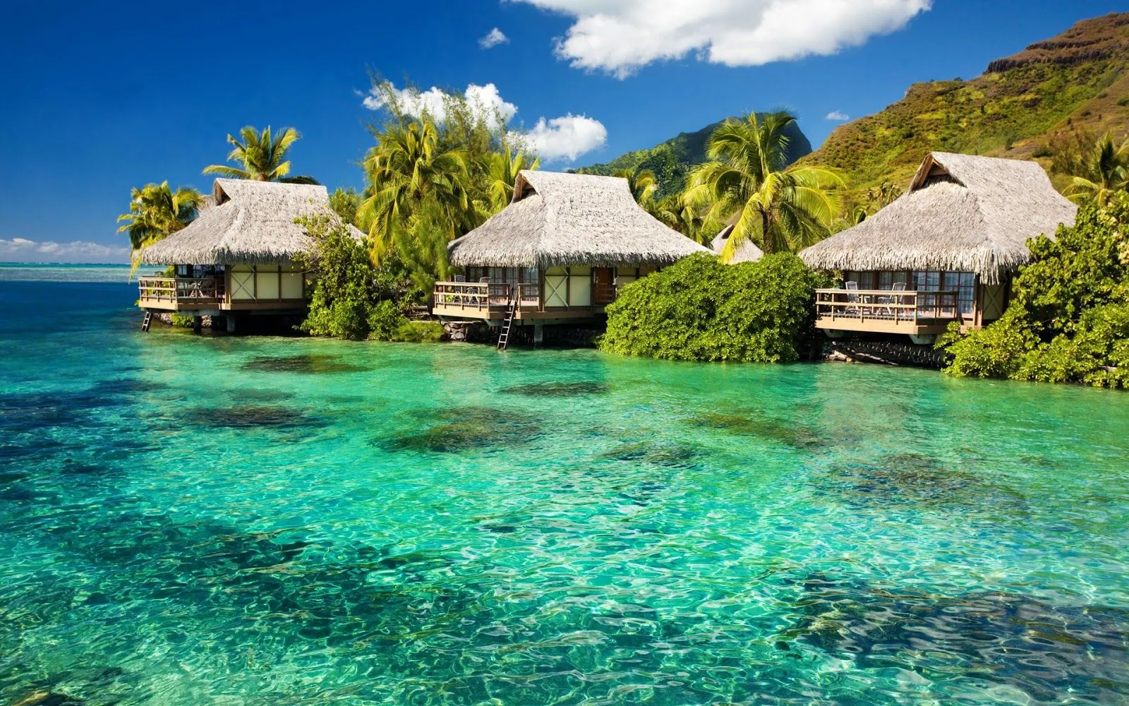 FOTOFRONTERA: Cabañas para relajarse en la isla de agua turquesa