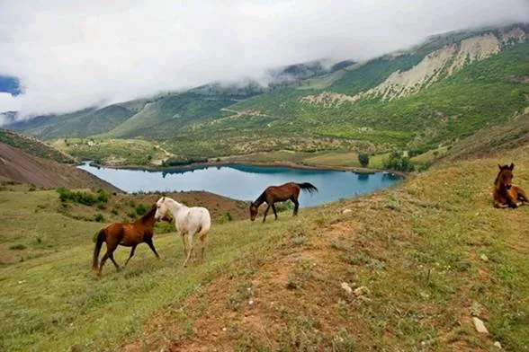 la plaza españa: LOS CABALLOS DE LAS MONTAÑAS.