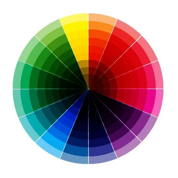 Please All Types of Clients: Guide to Choosing Color Combinations