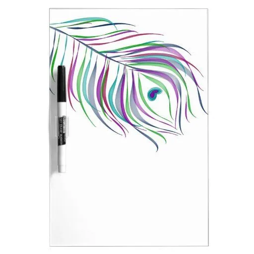 Pluma del pavo real del dibujo original pizarra | Zazzle