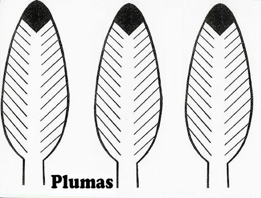 Plumas de aves para colorear - Imagui