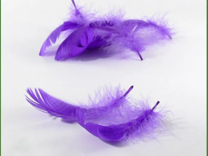 plumas para decorar detalles, regalos de boda