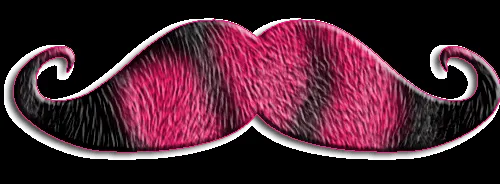 dos PNG!!! Bienvenidos a Todo Pedi