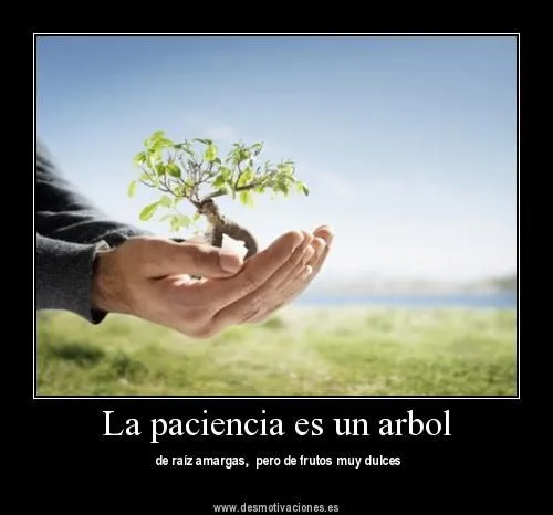 De todo un poco: Agradezco tu paciencia