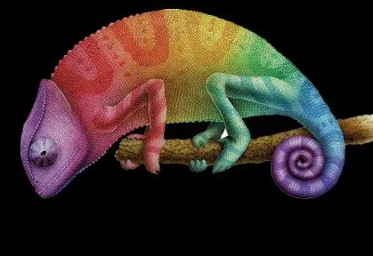 Poderosos Colores: Los colores del camaleón