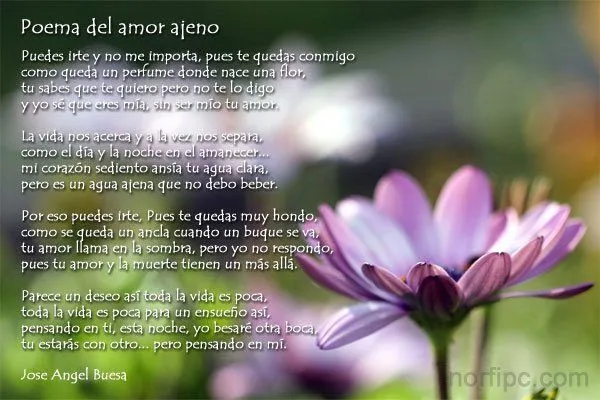 poema-amor-ajeno-ja-buesa.jpeg