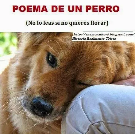 Poema de un gran Perro ~ Enamorados por Siempre