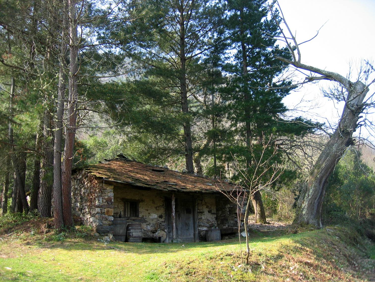 POEMAS DE ANA: La cabaña