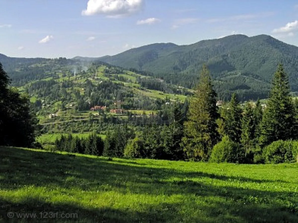 POEMAS DE ANA: Verdes montañas