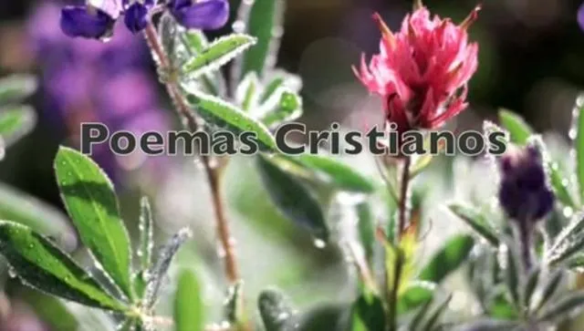 Poemas Cristianos - Aunque ya todavia NO. Videos cristianos on Vimeo