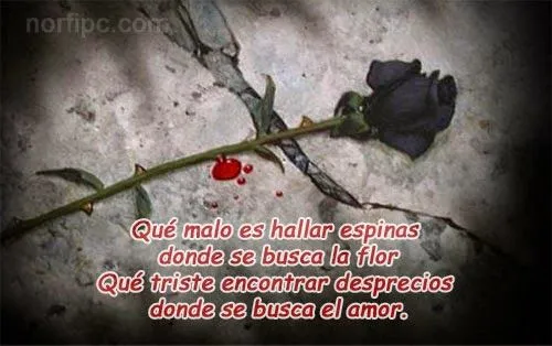 Poemas de desamor-tristes frases de desilusion y decepcion gratis ...