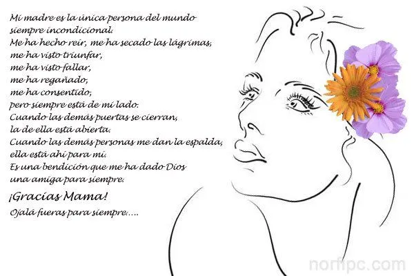 Poemas, frases e imágenes de homenaje y felicitación a la mujer