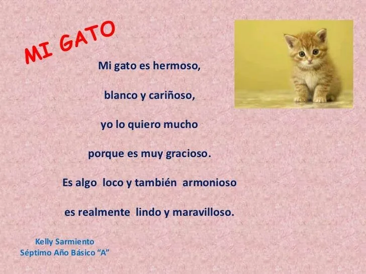 Poemas para un gato - Imagui