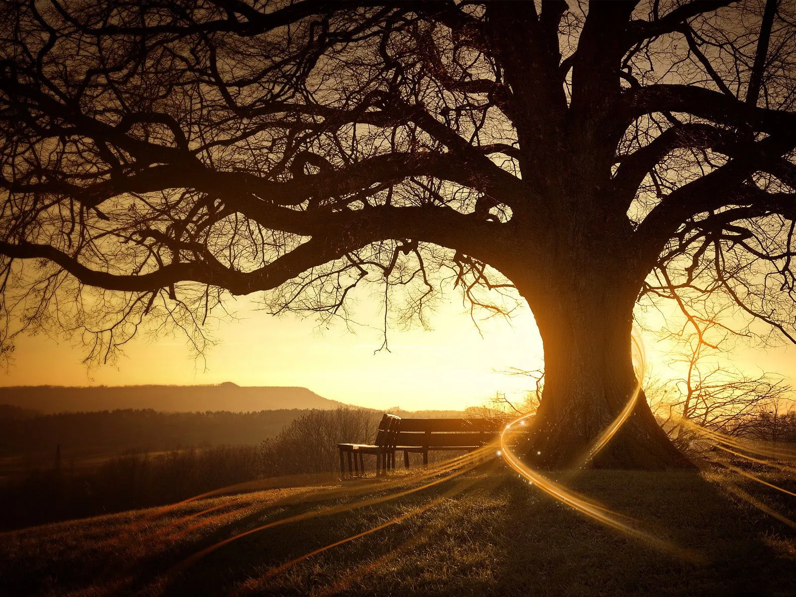 Poetas y cuentacuentos del taller de escritura "Donje" : EL ATARDECER