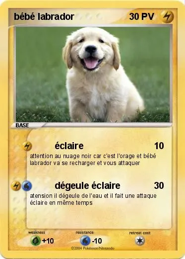 Pokémon bébé labrador - éclaire - Ma carte Pokémon