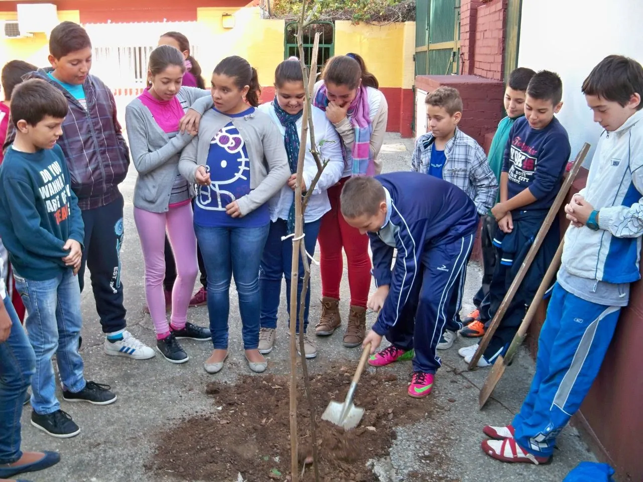 El Polígono Sur | Asociación Amigos de los Jardines de la Oliva