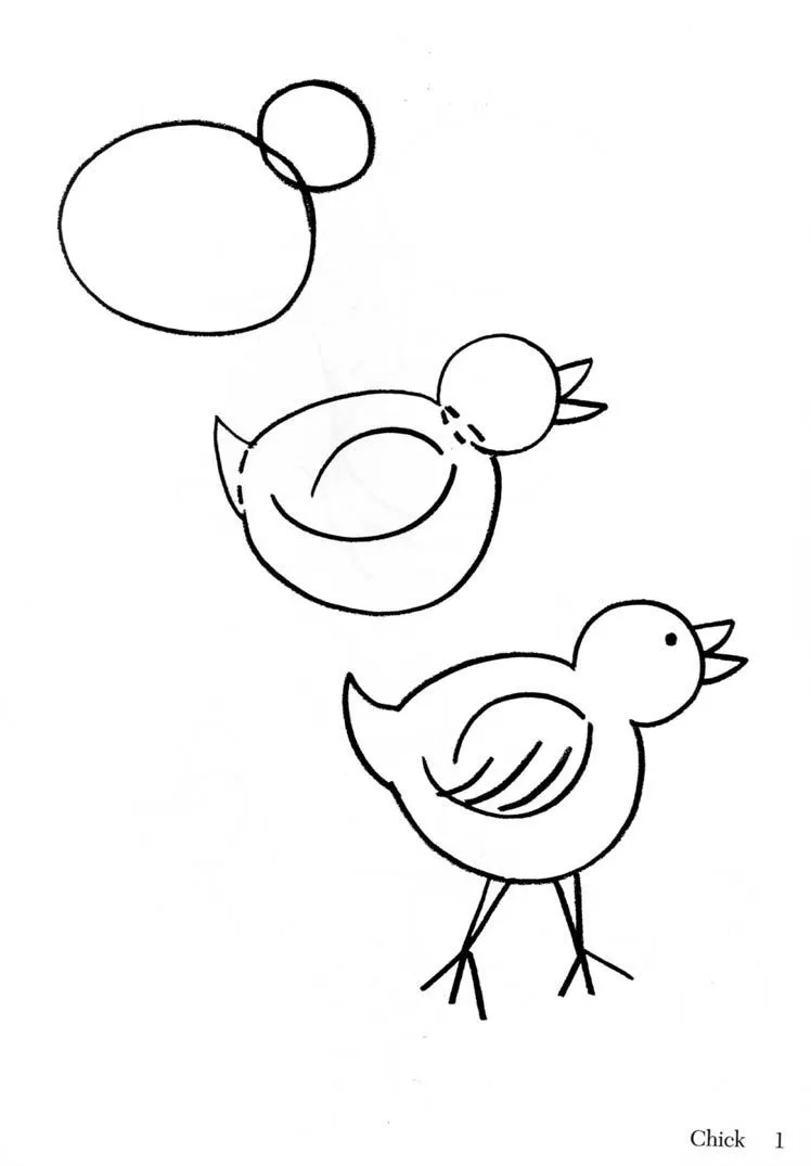 Pollito para colorear - Dibujos para colorear - IMAGIXS