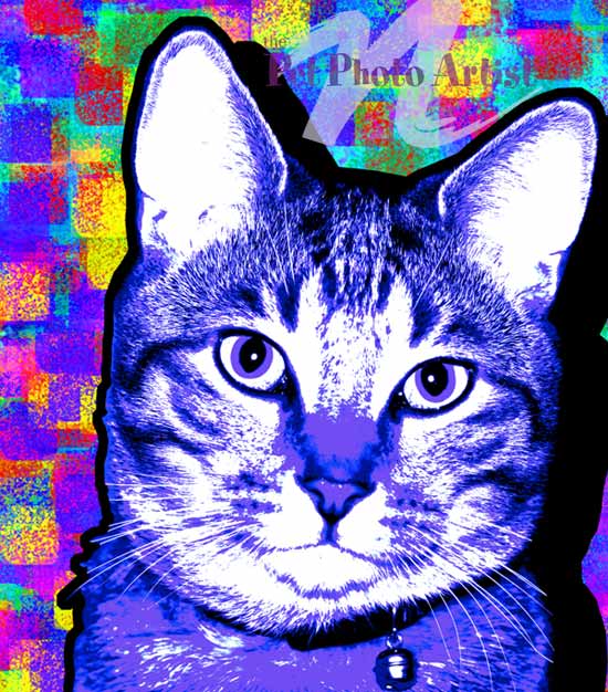 Pop Art Cat - PRINCESS