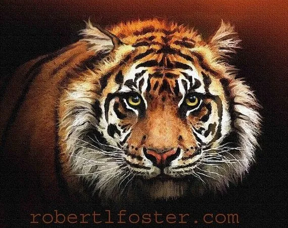 Popular items for tigers art on Etsy