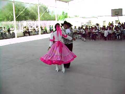 Popular Videos - Baile Folklorico and Polka PlayList