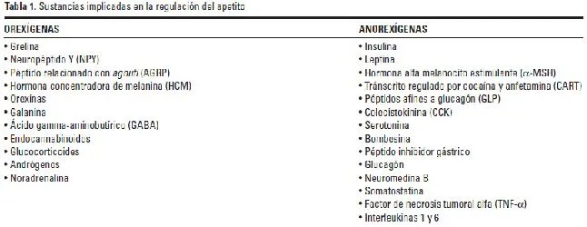 El porqué de las 5 comidas al día: Apetito, glucemia, lipemia y ...