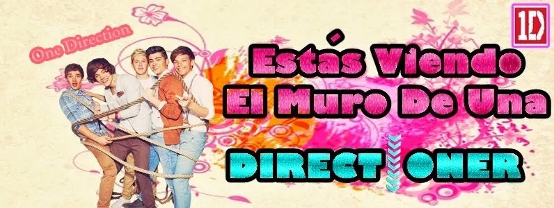 Portada de directioners - Imagui