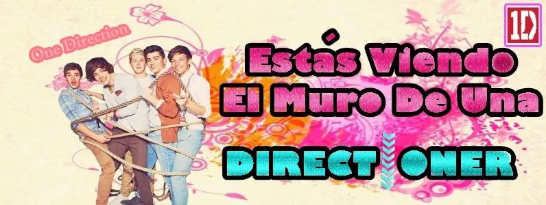 Portada Para Facebook Directioners by Mizzzzi on DeviantArt